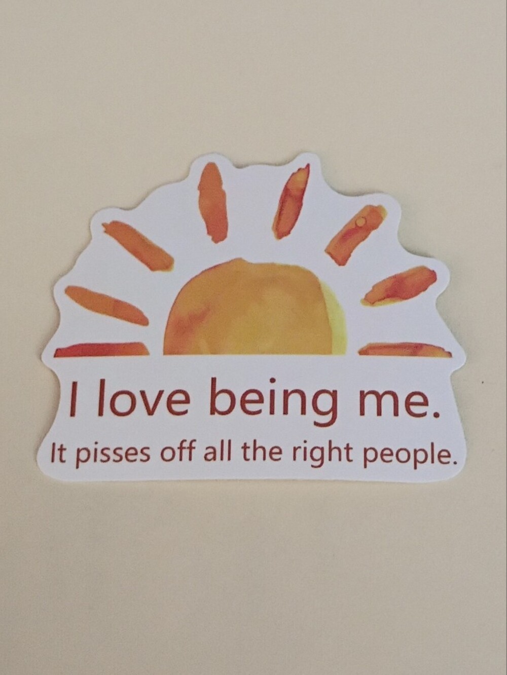 10/$10 Stickers Decal - I Love Being Me It Pisses Off All The Right People Sun 2